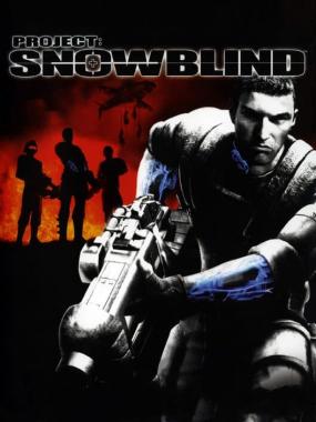 Project – Snowblind