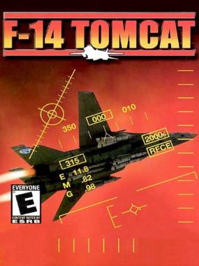 F-14 Tomcat